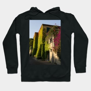 Colorful leaves on house walls Hoodie